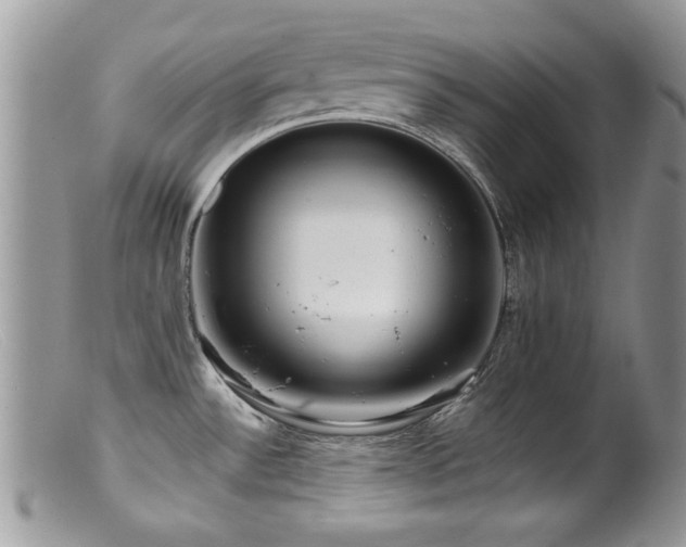 X0000099521532200805151512