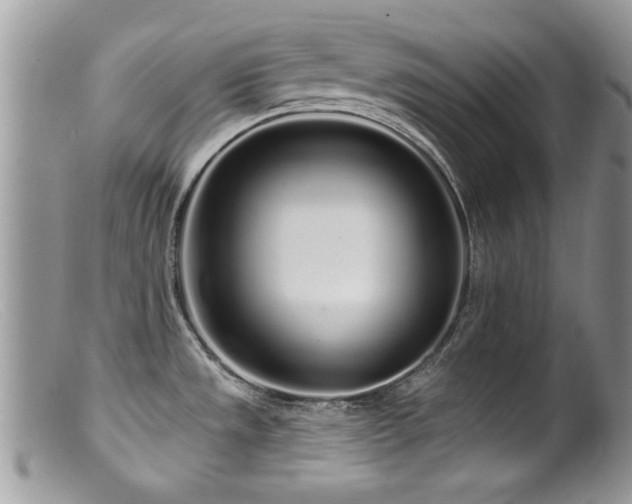X0000099521533200805151512