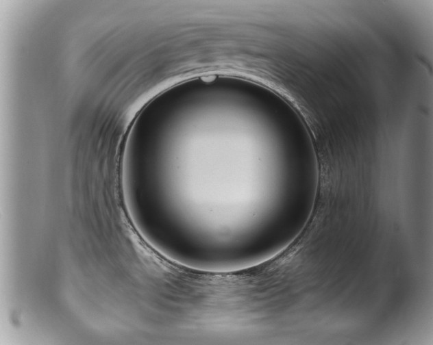 X0000099521534200805151512