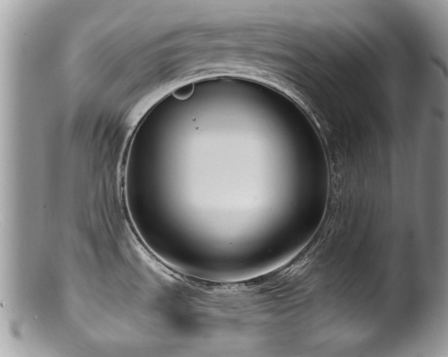 X0000099521535200805151512