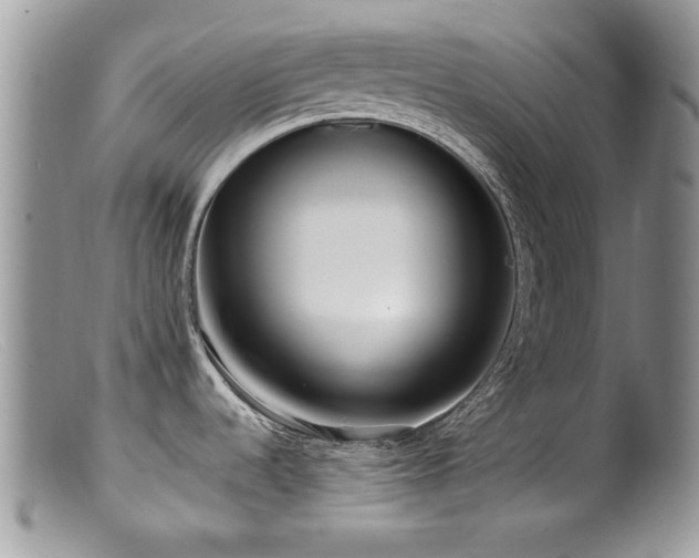 X0000099521536200805151512