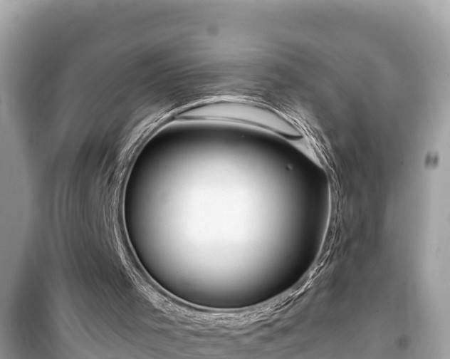 X0000099520001200805221453