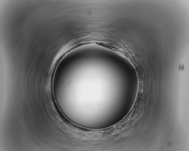 X0000099520004200805221453