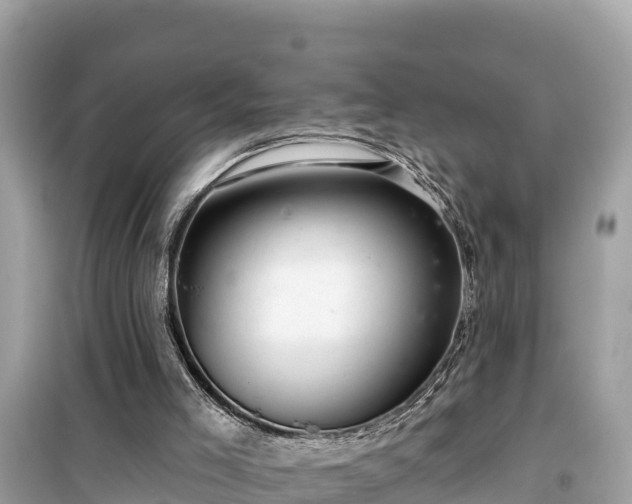 X0000099520005200805221453