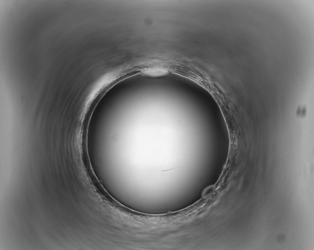 X0000099520006200805221453