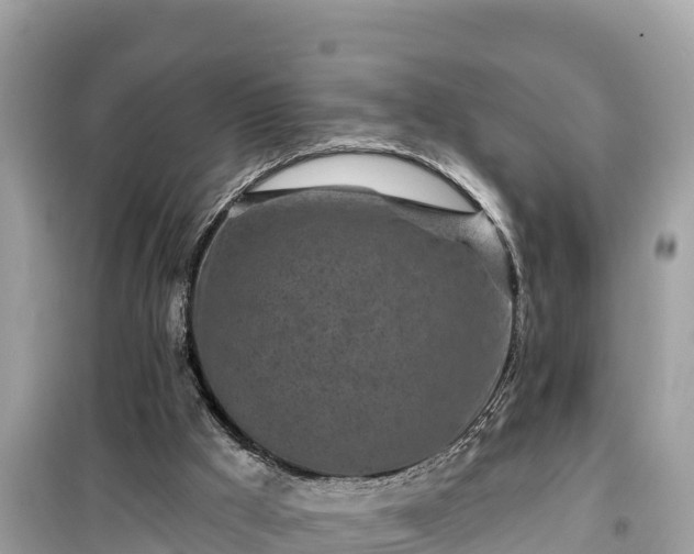 X0000099520009200805221453