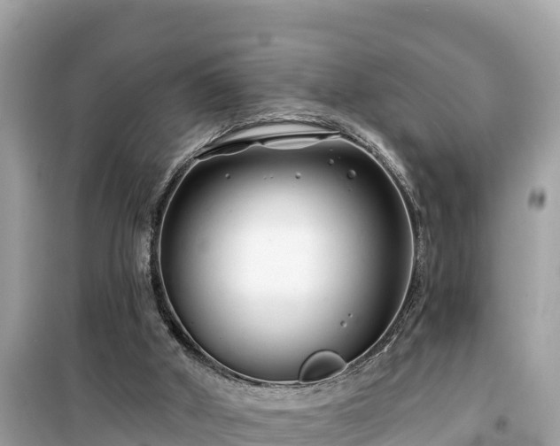 X0000099520010200805221453