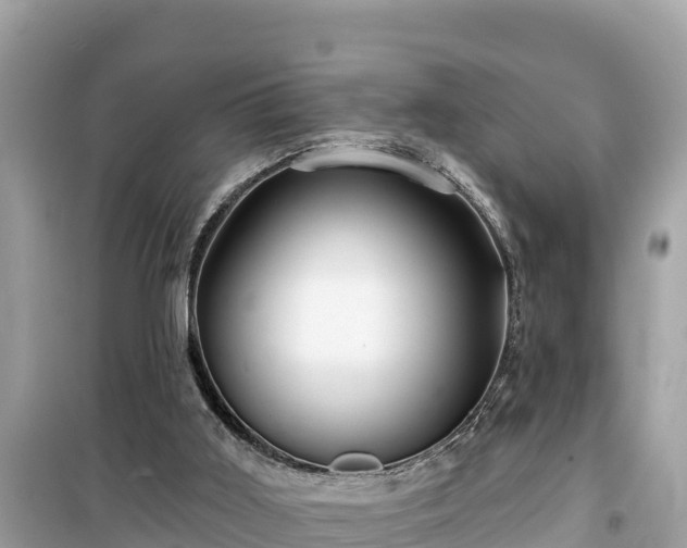 X0000099520011200805221453