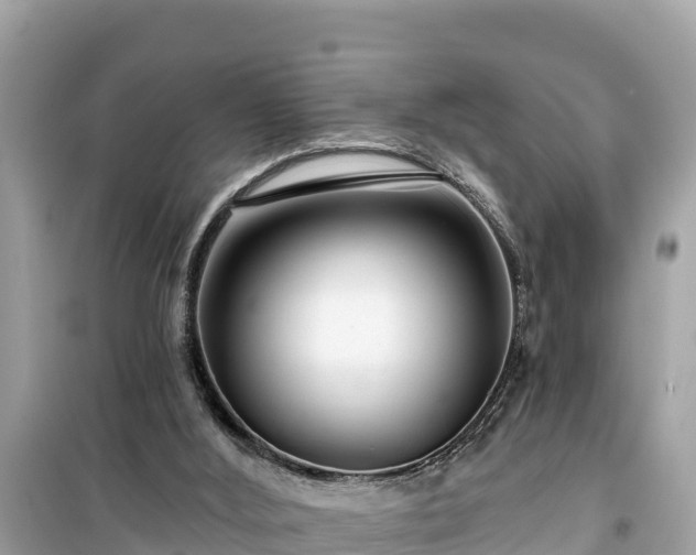 X0000099520012200805221453