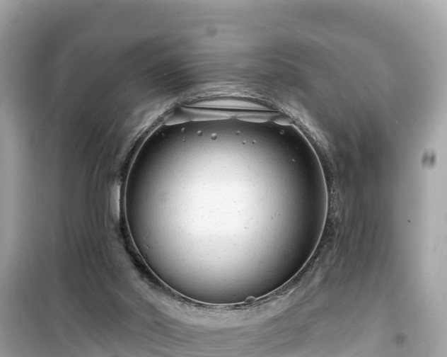 X0000099520014200805221453
