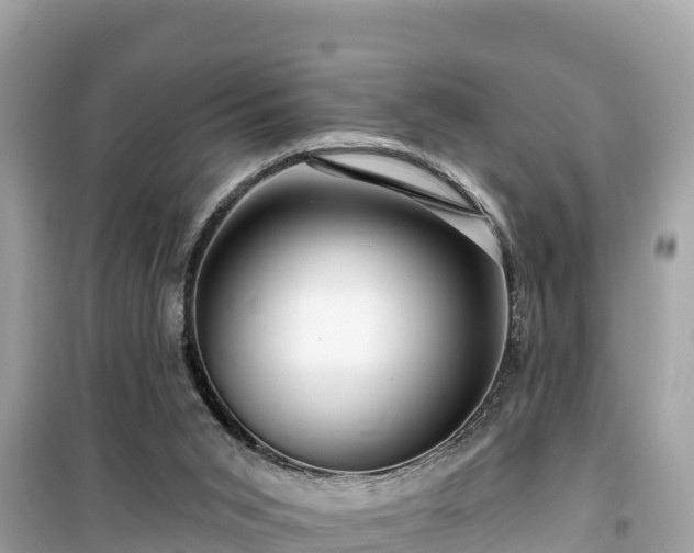 X0000099520015200805221453