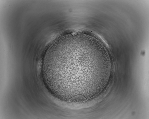 X0000099520018200805221453
