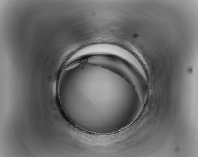 X0000099520019200805221453