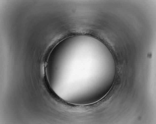 X0000099520020200805221453