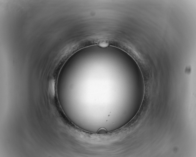 X0000099520022200805221453