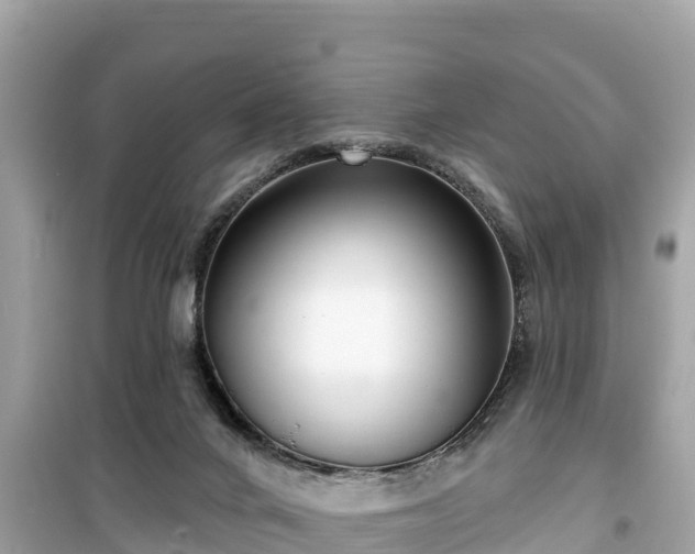 X0000099520024200805221453