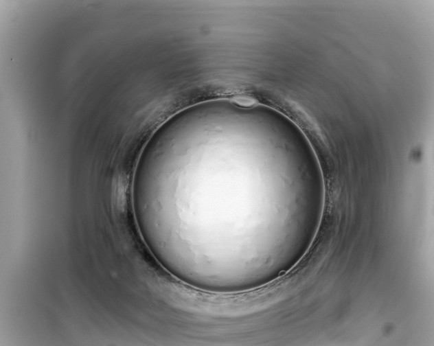 X0000099520026200805221453