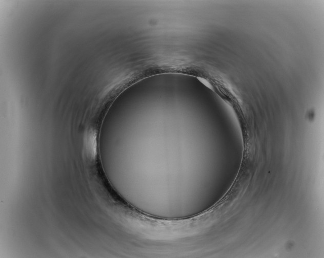 X0000099520027200805221453
