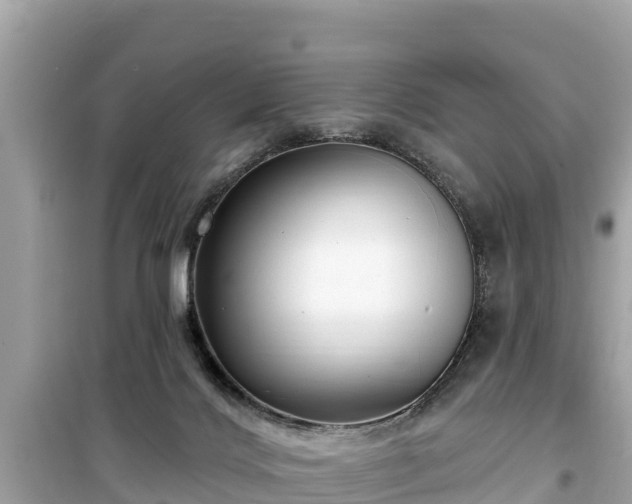 X0000099520028200805221453