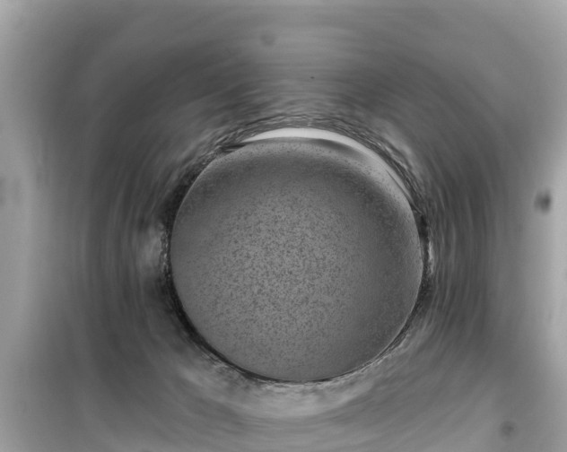 X0000099520029200805221453