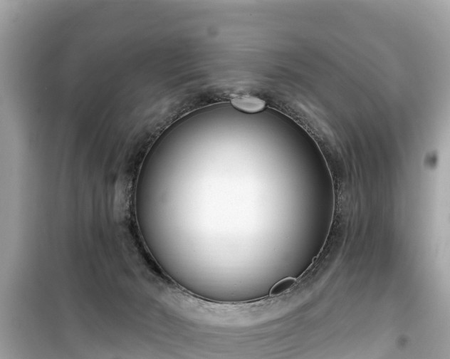 X0000099520030200805221453