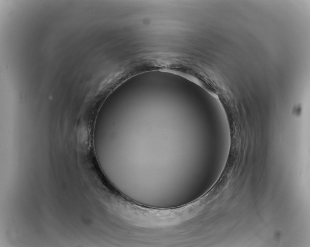 X0000099520031200805221453