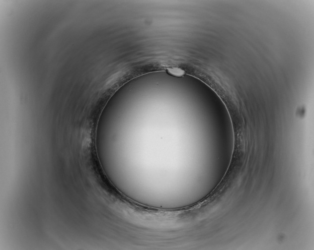 X0000099520032200805221453