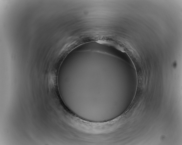 X0000099520035200805221453