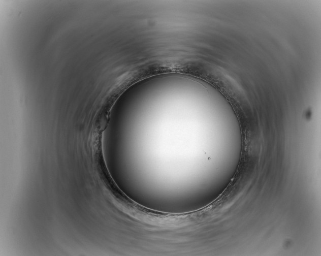 X0000099520036200805221453