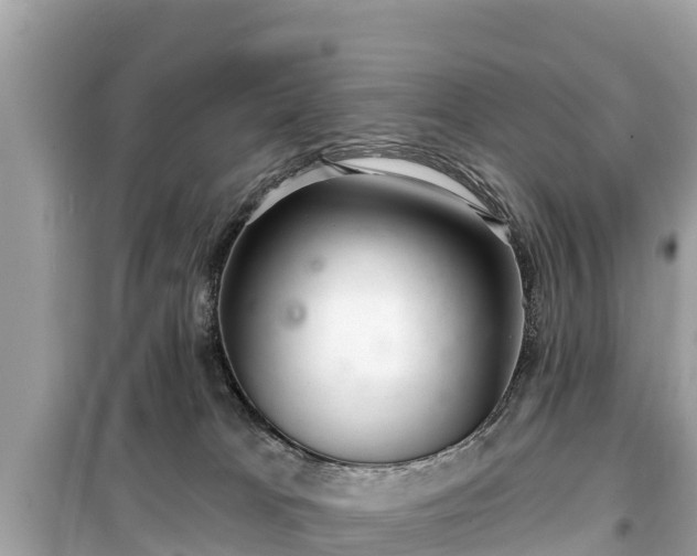 X0000099520037200805221453