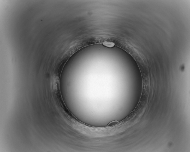 X0000099520038200805221453