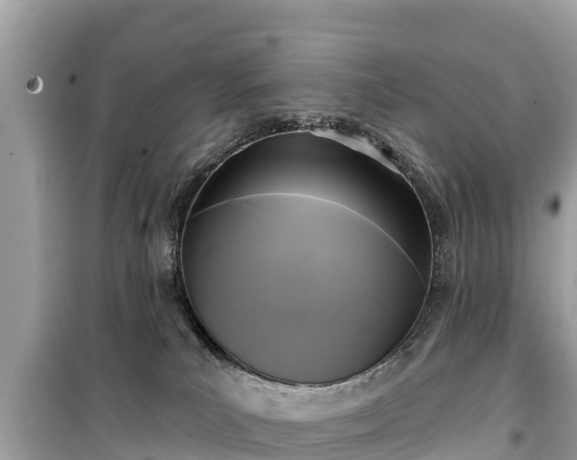 X0000099520039200805221453