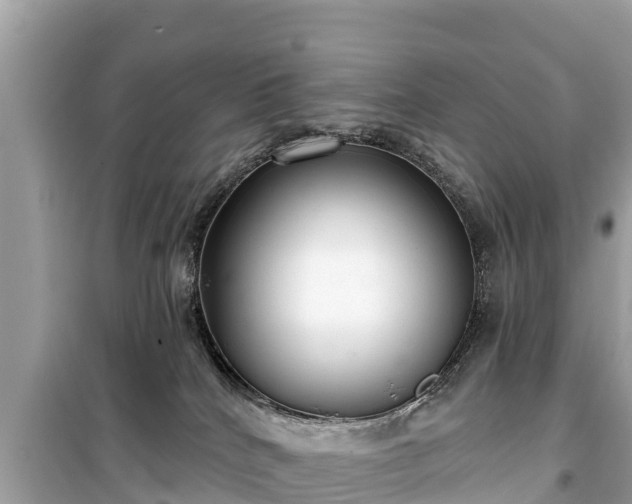 X0000099520040200805221453