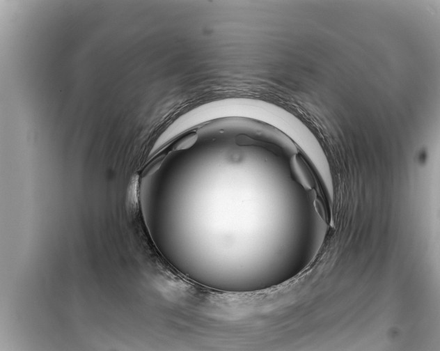 X0000099520041200805221453