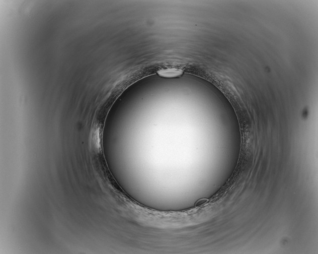 X0000099520042200805221453
