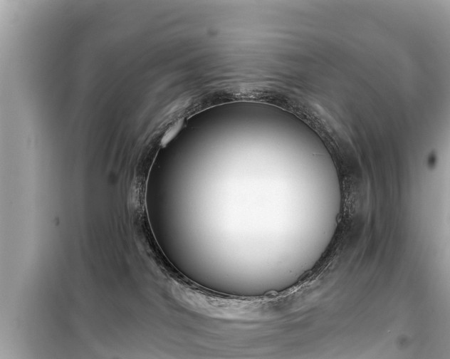 X0000099520044200805221453