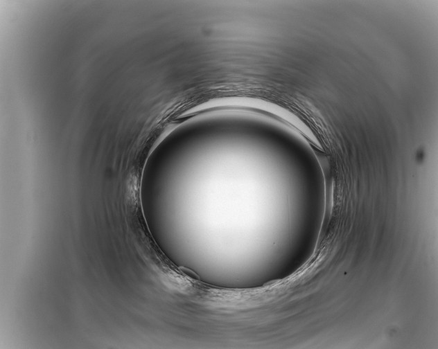 X0000099520045200805221453