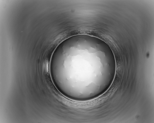X0000099520046200805221453