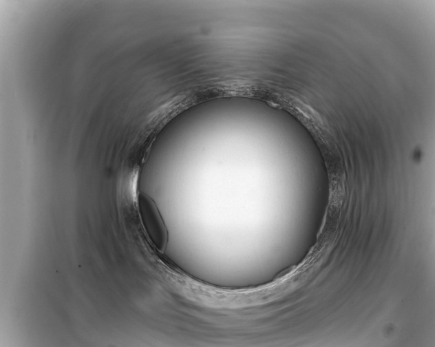 X0000099520047200805221453