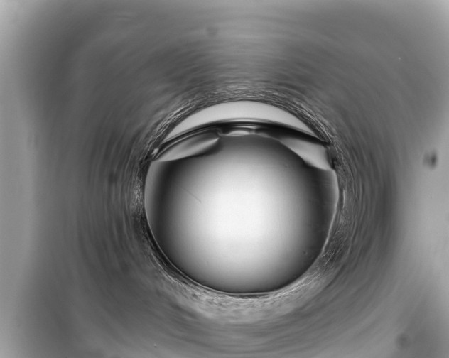 X0000099520048200805221453