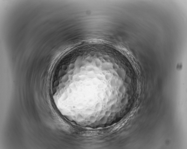 X0000099520049200805221452
