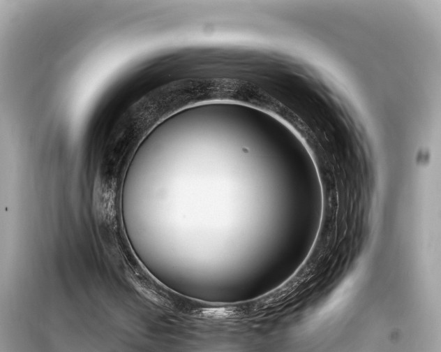 X0000099520050200805221452