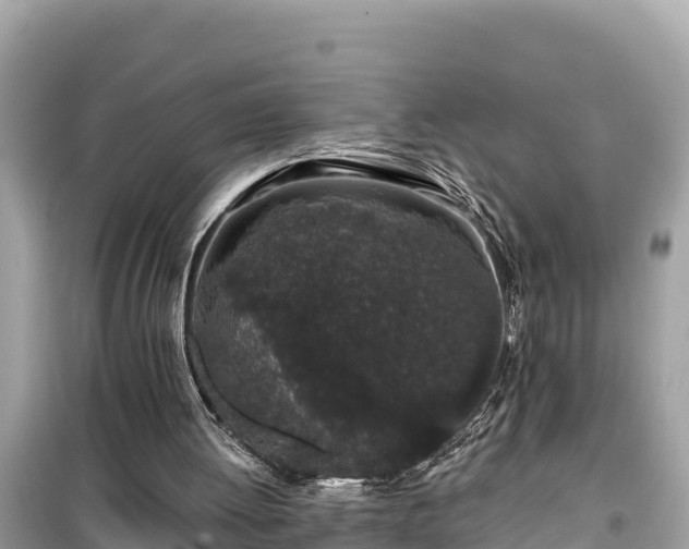 X0000099520052200805221452