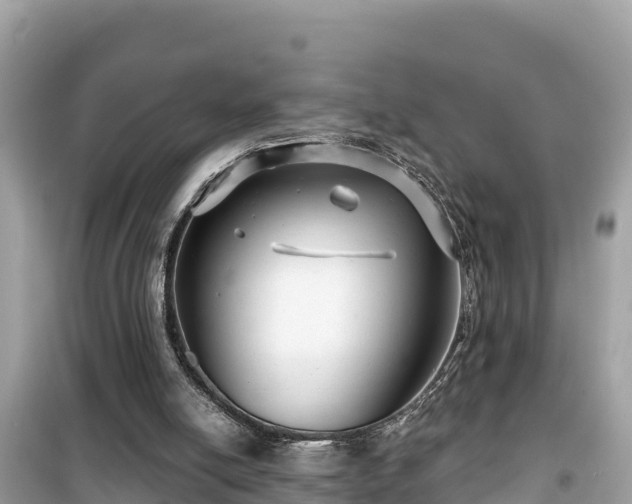 X0000099520054200805221452