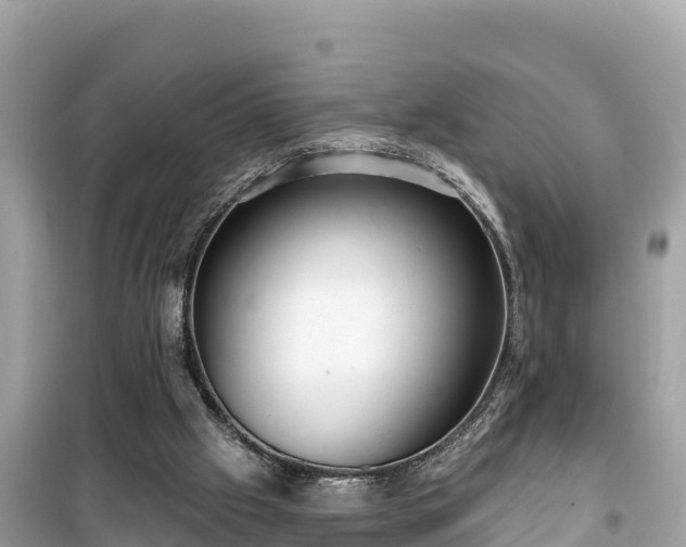 X0000099520057200805221452