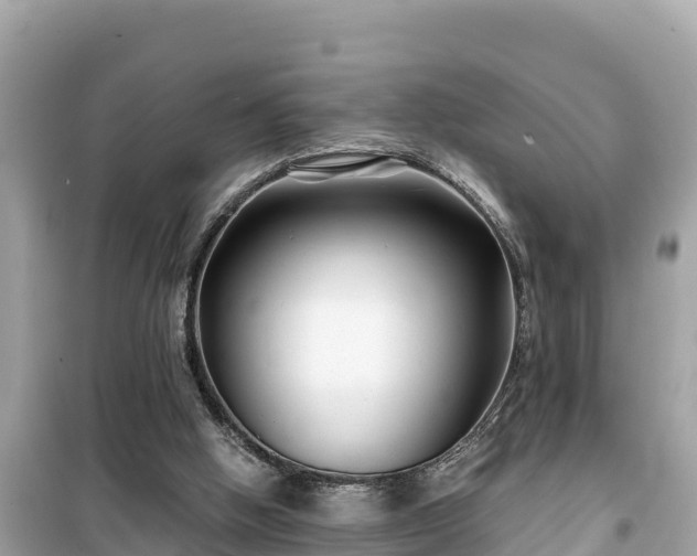 X0000099520058200805221452