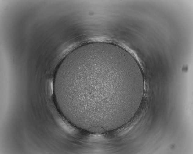 X0000099520061200805221452