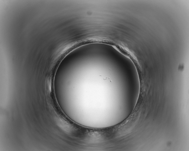 X0000099520062200805221452