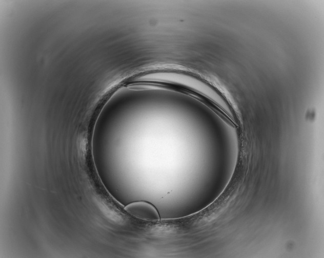 X0000099520063200805221452
