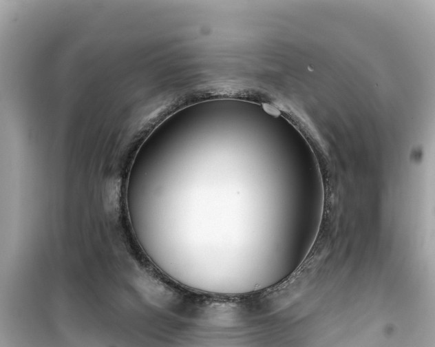 X0000099520066200805221452